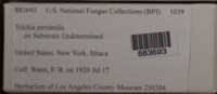 Image Associated With the Occurence